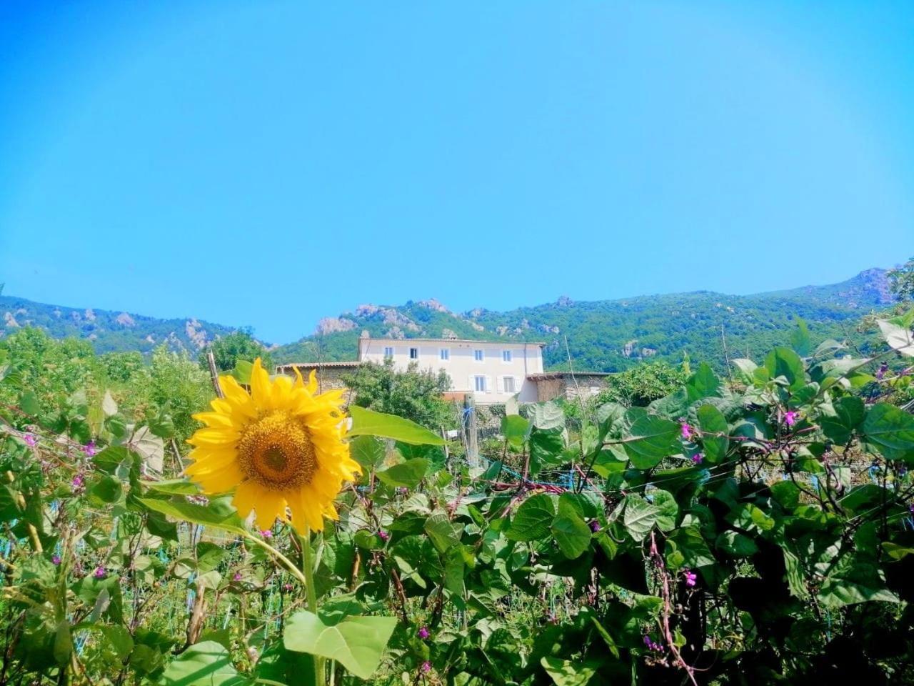 Les Chambres De La Ferme De Chalas Valgorge Dış mekan fotoğraf