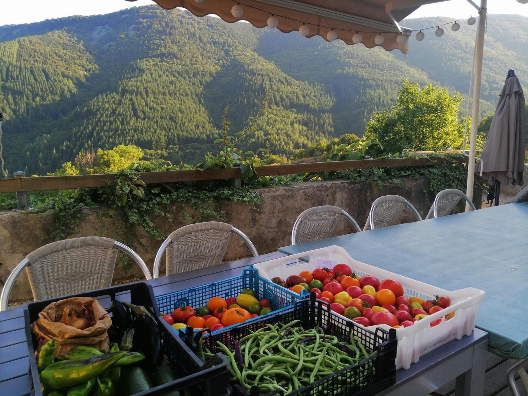 Les Chambres De La Ferme De Chalas Valgorge Dış mekan fotoğraf