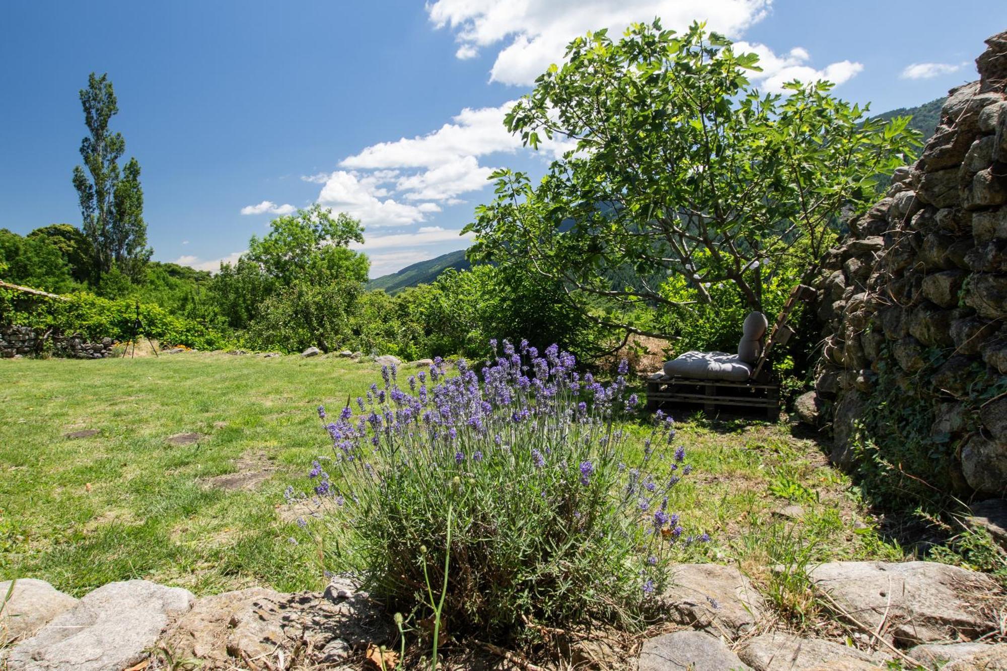 Les Chambres De La Ferme De Chalas Valgorge Dış mekan fotoğraf