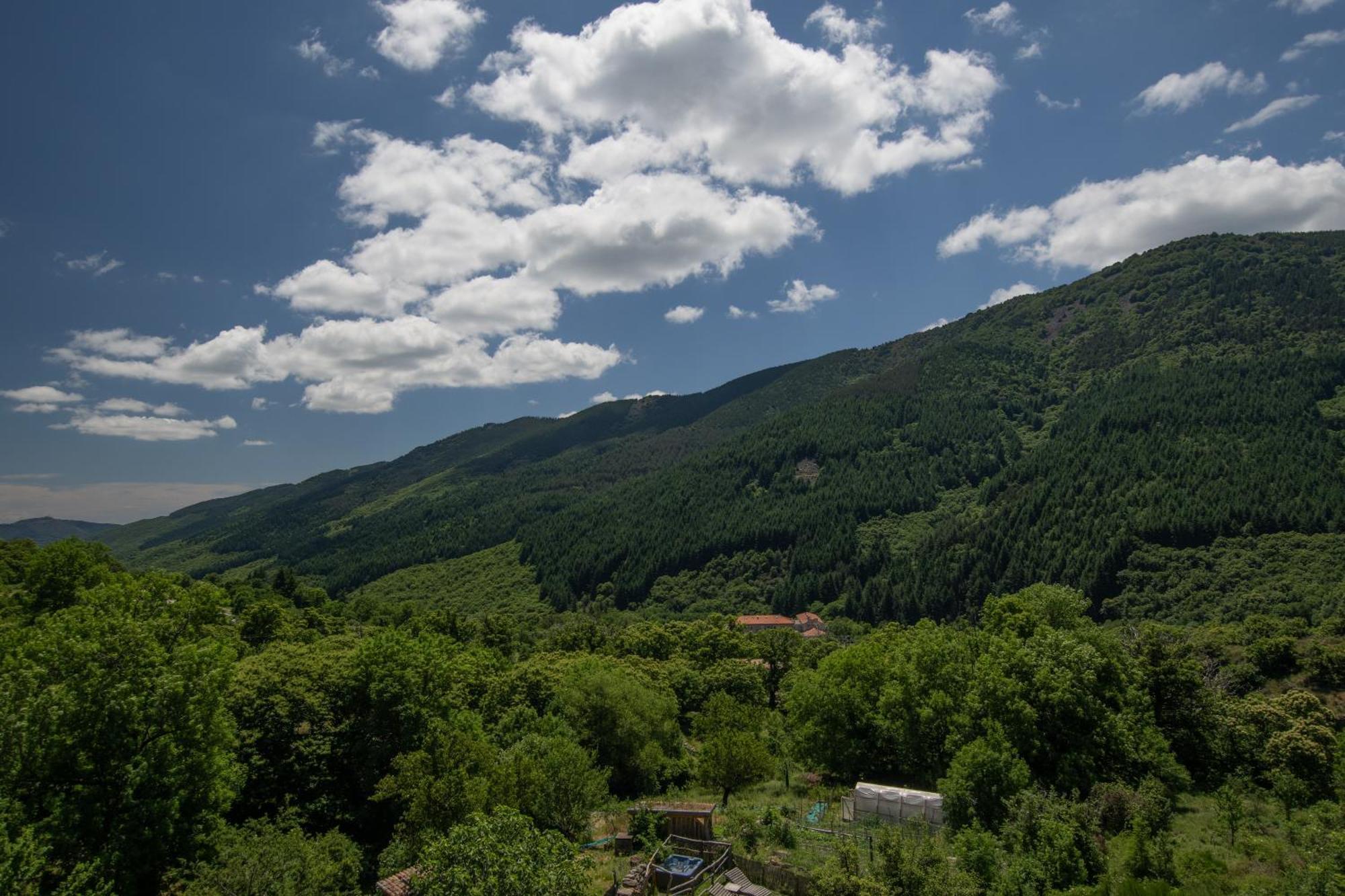 Les Chambres De La Ferme De Chalas Valgorge Dış mekan fotoğraf